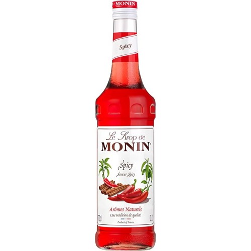 Monin Σιροπι Spicy 700ml