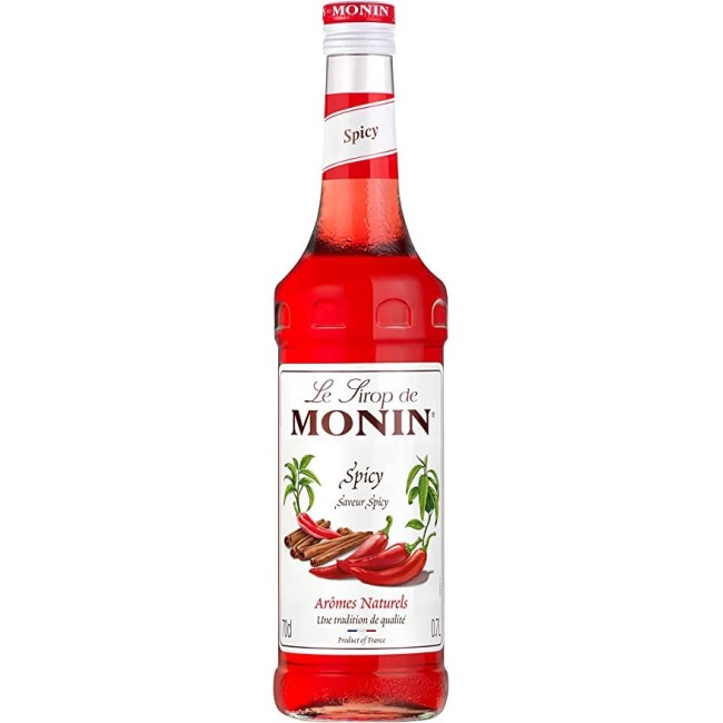 Monin Σιροπι Spicy 700ml