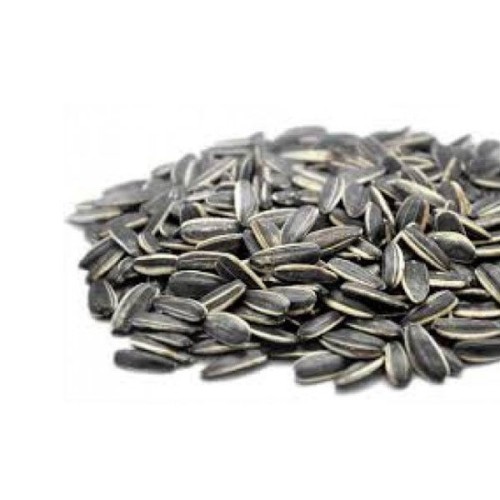 ΗΛΙΟΣΠΟΡΟΣ ΨΗΜ. ΑΝΑΛ.