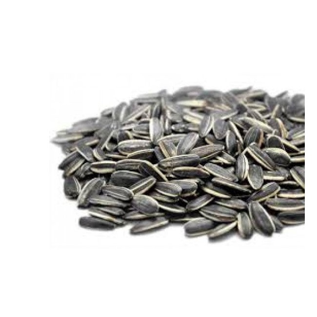 ΗΛΙΟΣΠΟΡΟΣ ΨΗΜ. ΑΝΑΛ.