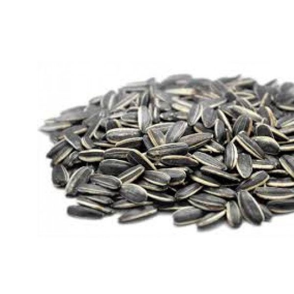 ΗΛΙΟΣΠΟΡΟΣ ΨΗΜ. ΑΝΑΛ.