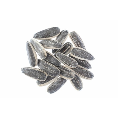 ΗΛΙΟΣΠΟΡΟΣ ΚΙΝΑΣ ΨΗΜ.