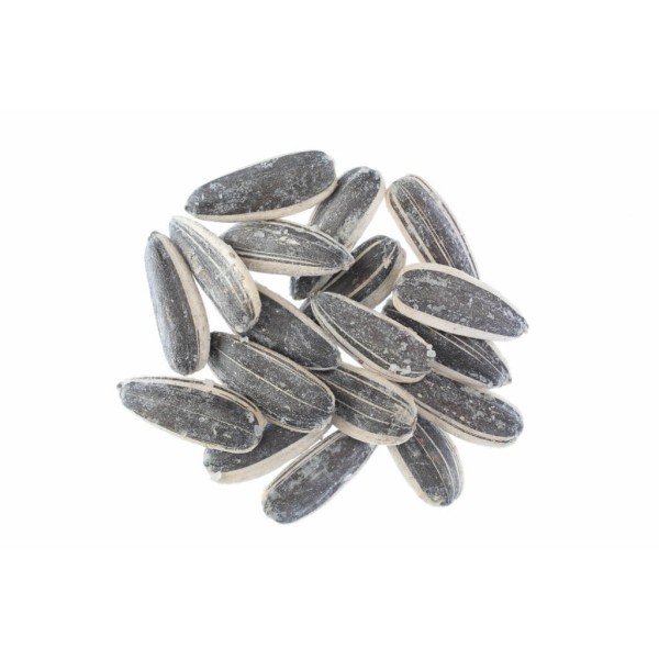 ΗΛΙΟΣΠΟΡΟΣ ΚΙΝΑΣ ΨΗΜ.