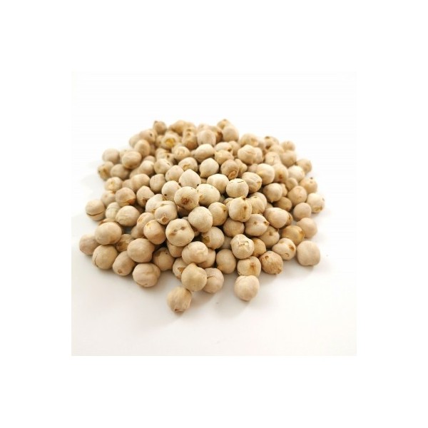 ΣΤΡΑΓΑΛΙΑ ΛΕΥΚΑ ΤΟΥΡΚΙΑΣ