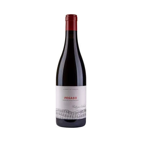 Telmo Rodriguez Pegaso Pizarra 750ml