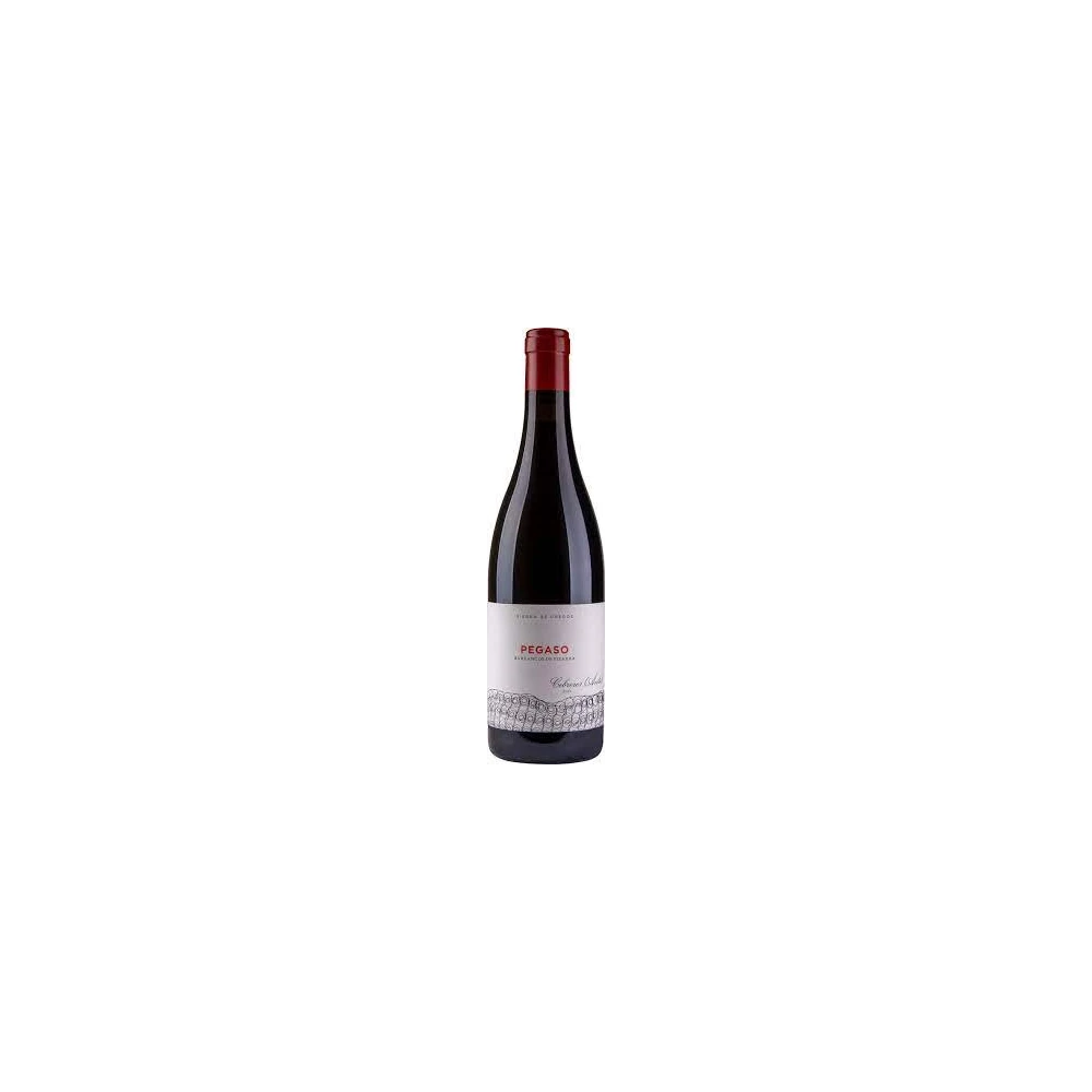 Telmo Rodriguez Pegaso Pizarra 750ml