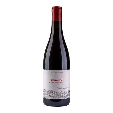 Telmo Rodriguez Pegaso Pizarra 750ml