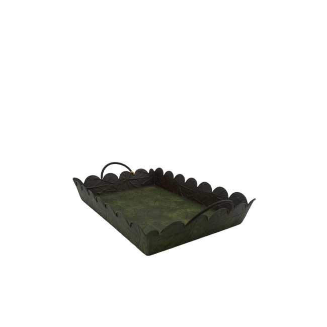 ΔΙΣΚΟΣ ΠΑΡΑΛ/ΜΟΣ GREEN GRAPES LARGE