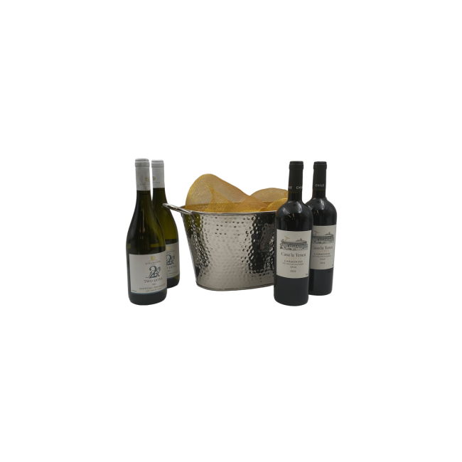 ΓΑΣΤΡΑ STAINLESS ΚΑΘΡΕΦΤΗΣ