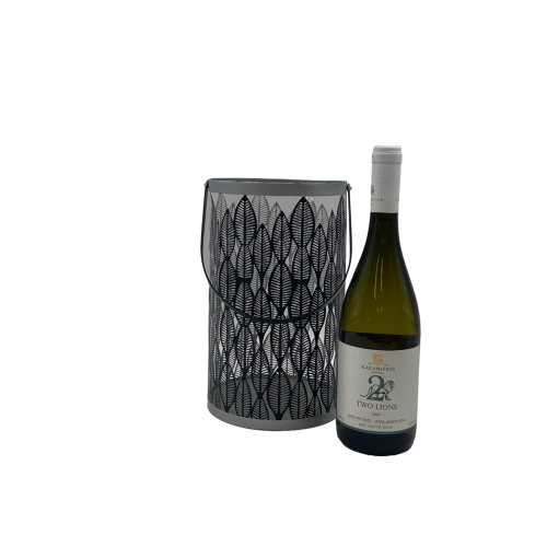 ΦΑΝΑΡΙ ΜΕΤΑΛ. ΓΚΡΙ ΜΕ ΜΑΥΡΟ ΧΕΡΟΥΛΙ 2